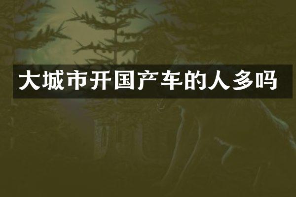 大城市开国产车的人多吗