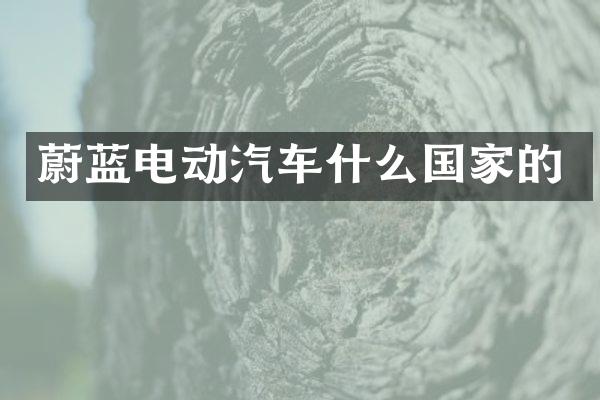 蔚蓝电动汽车什么国家的