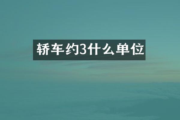 轿车约3什么单位