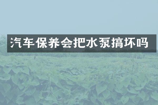 汽车保养会把水泵搞坏吗