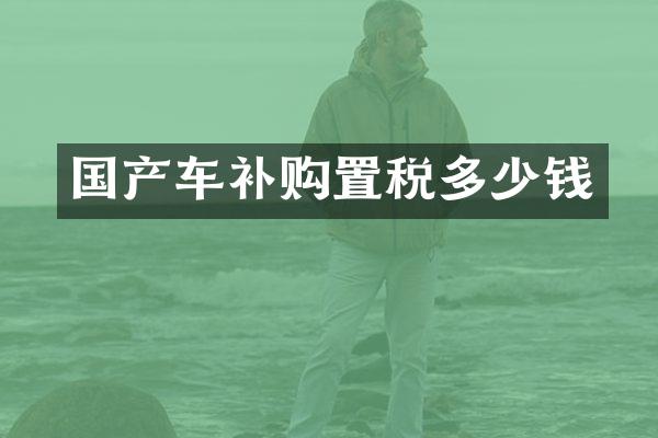 国产车补购置税多少钱
