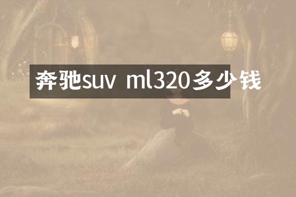 奔驰suv ml320多少钱