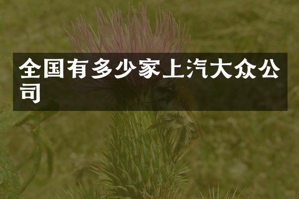 全国有多少家上汽大众公司