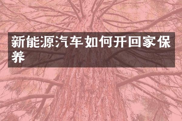 新能源汽车如何开回家保养