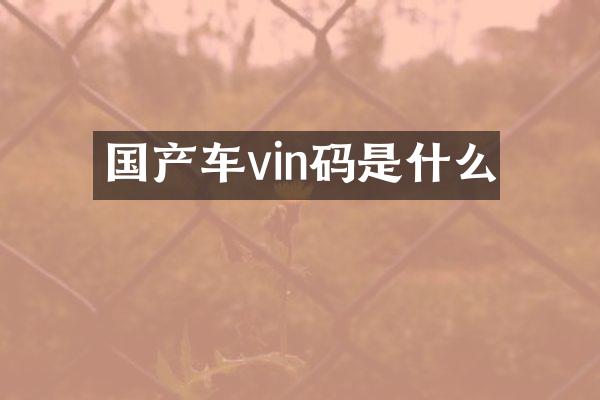 国产车vin码是什么