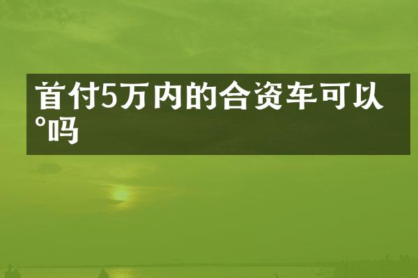 首付5万内的合资车可以买吗