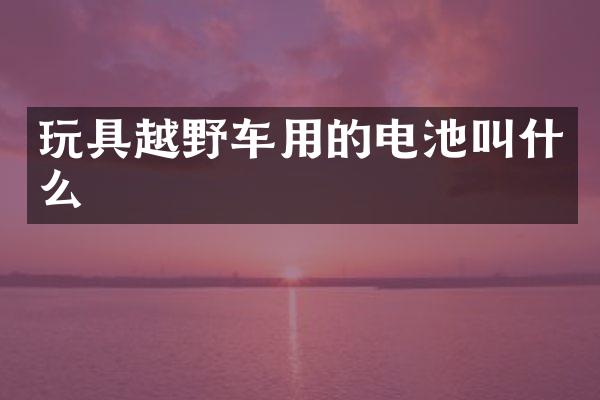 玩具越野车用的电池叫什么