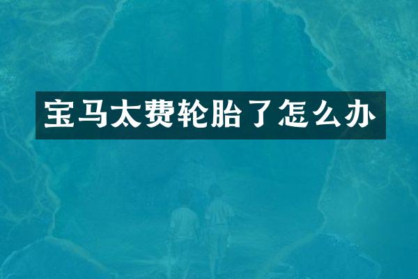 宝马太费轮胎了怎么办