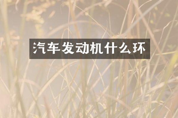 汽车发动机什么环