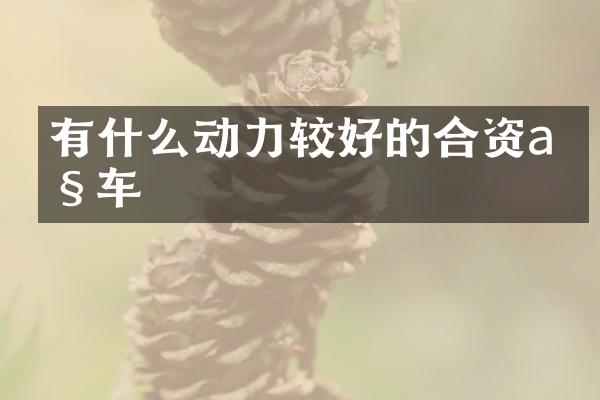 有什么动力较好的合资a级车