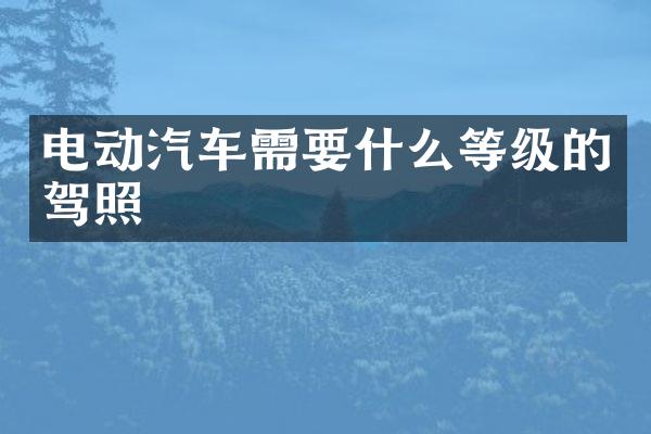 电动汽车需要什么等级的驾照