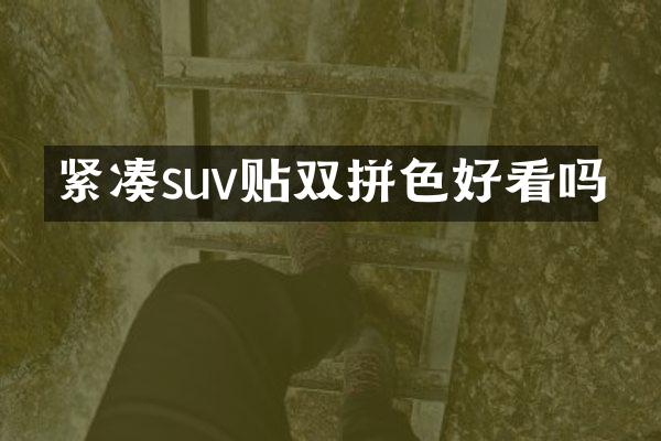 紧凑suv贴双拼色好看吗