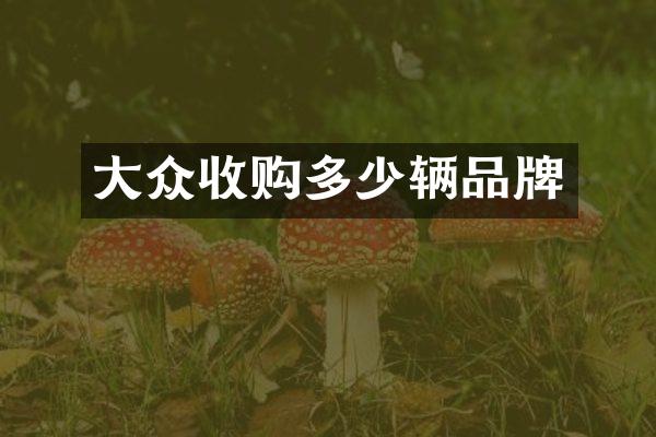 大众收购多少辆品牌