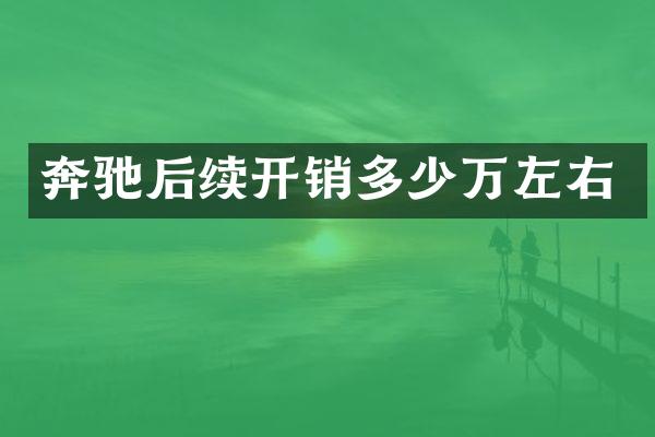 奔驰后续开销多少万左右