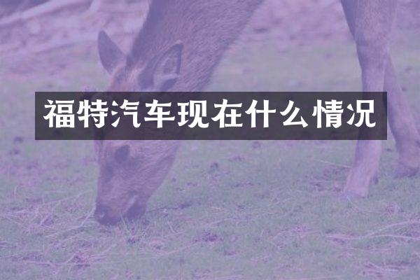 福特汽车现在什么情况