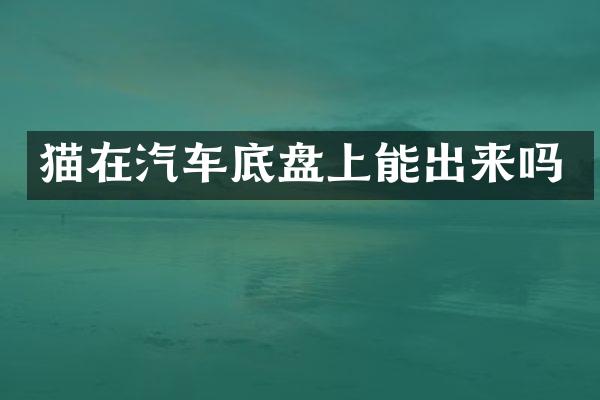 猫在汽车底盘上能出来吗