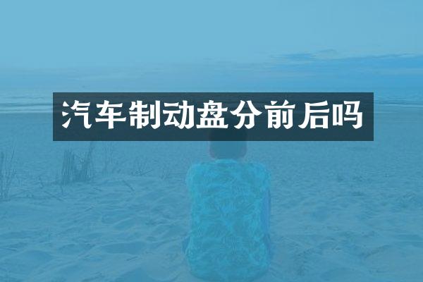汽车制动盘分前后吗