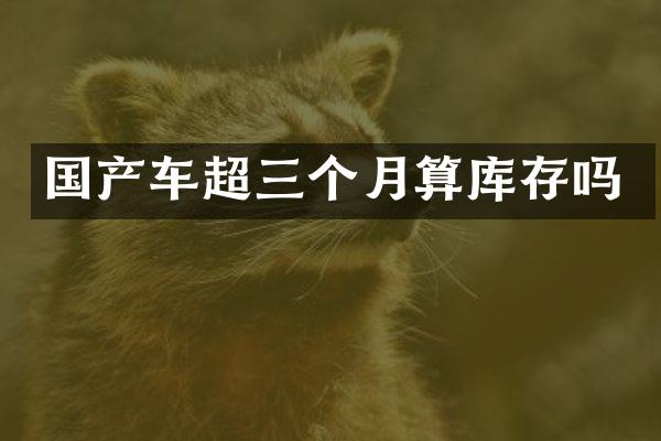国产车超三个月算库存吗