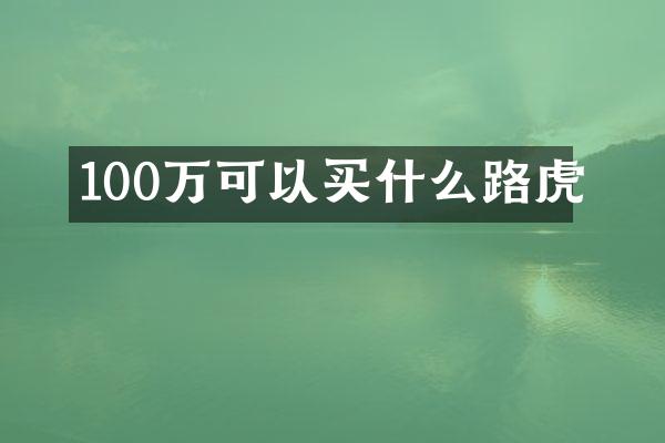 100万可以买什么路虎