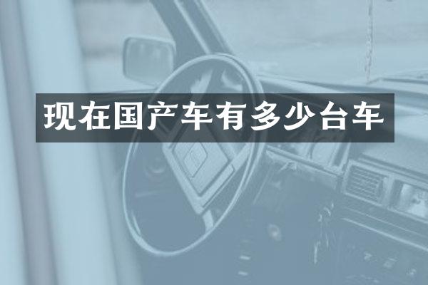 现在国产车有多少台车