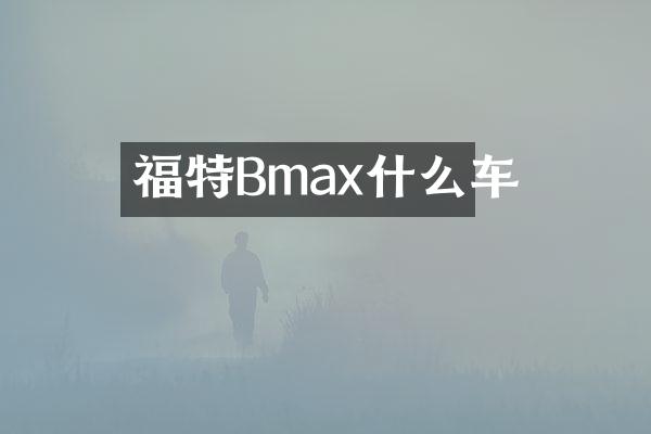 福特Bmax什么车