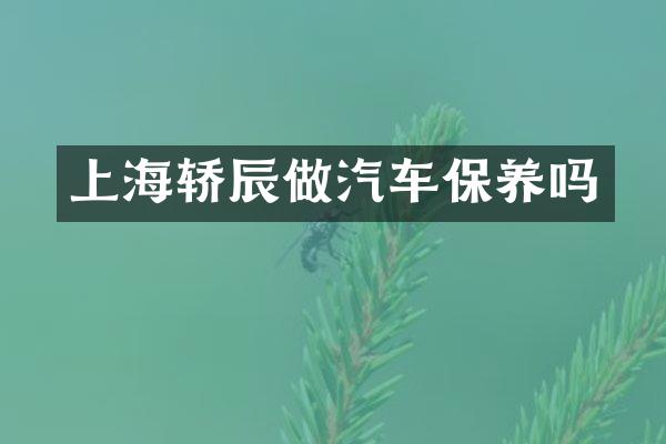 上海轿辰做汽车保养吗