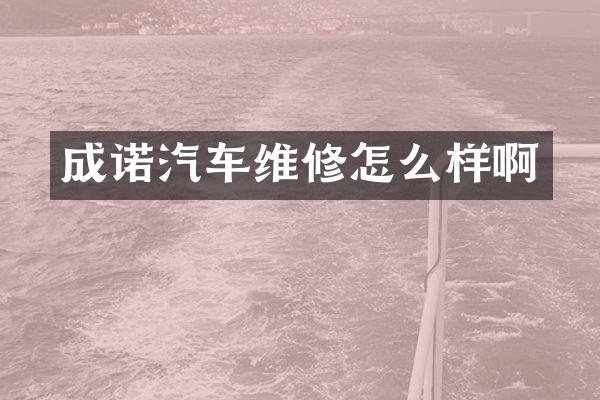 成诺汽车维修怎么样啊