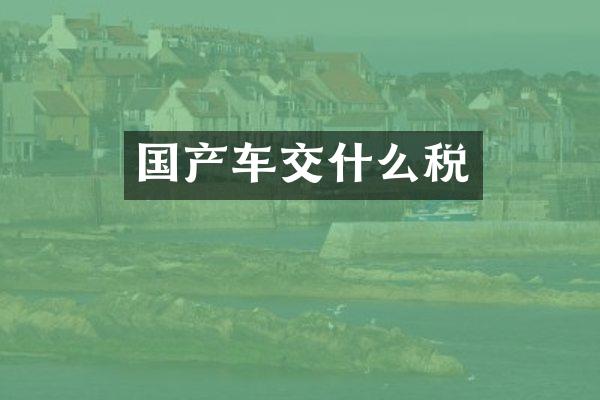 国产车交什么税