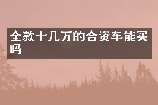 全款十几万的合资车能买吗