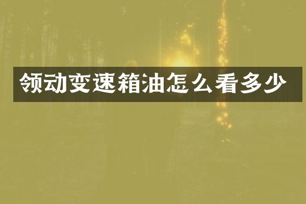 领动变速箱油怎么看多少