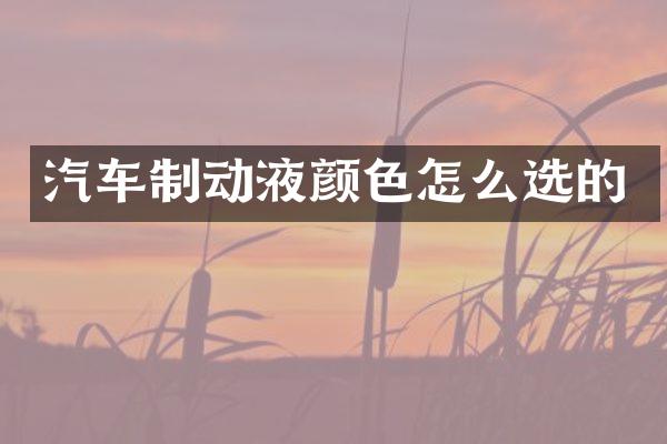 汽车制动液颜色怎么选的