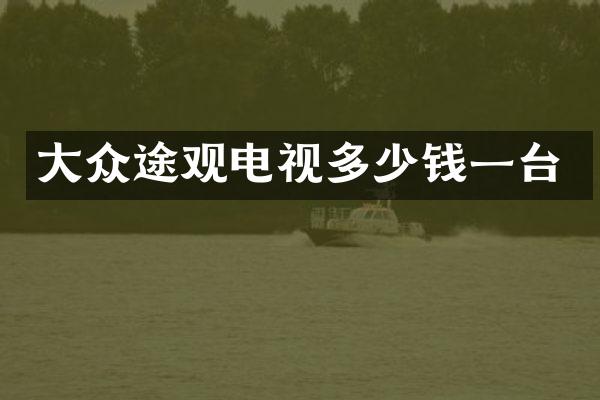 大众途观电视多少钱一台