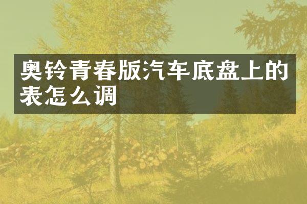 奥铃青春版汽车底盘上的表怎么调