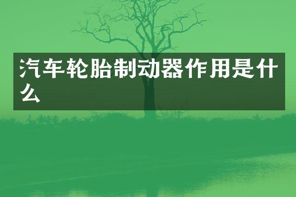 汽车轮胎制动器作用是什么