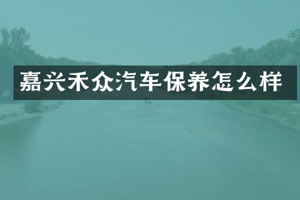 嘉兴禾众汽车保养怎么样