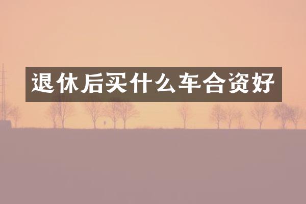 退休后车合资好