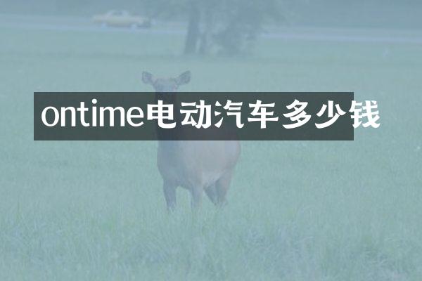 ontime电动汽车多少钱
