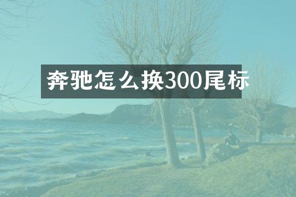 奔驰怎么换300尾标