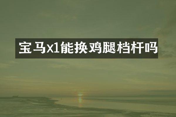 宝马x1能换鸡腿档杆吗
