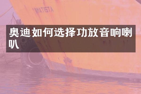 奥迪如何选择功放音响喇叭