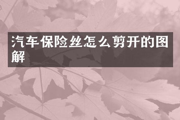 汽车保险丝怎么剪开的图解
