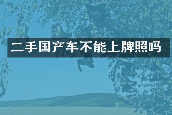 二手国产车不能上牌照吗