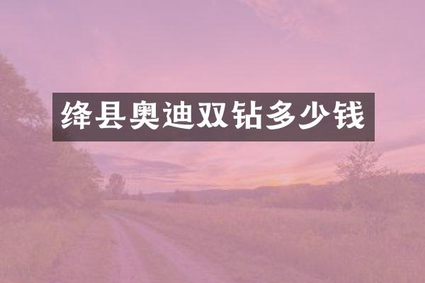 绛县奥迪双钻多少钱