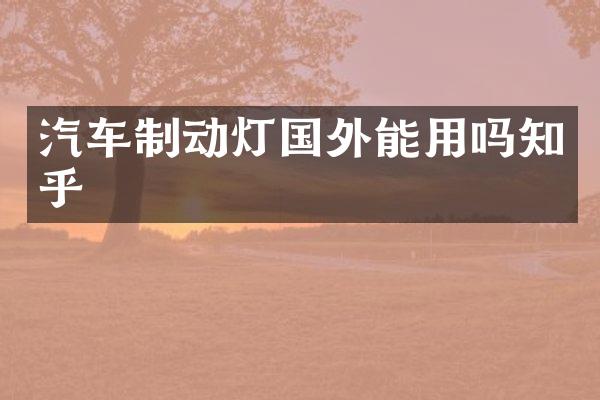 汽车制动灯国外能用吗知乎