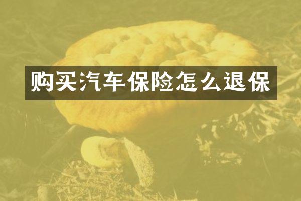 购买汽车保险怎么退保