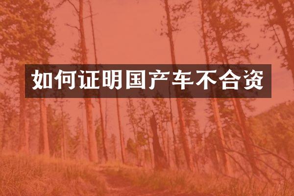 如何证明国产车不合资