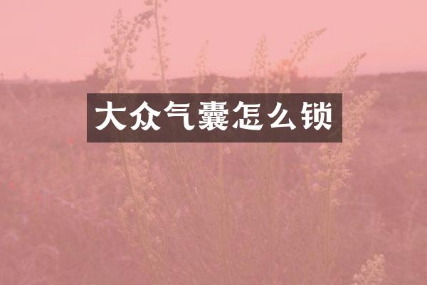 大众气囊怎么锁