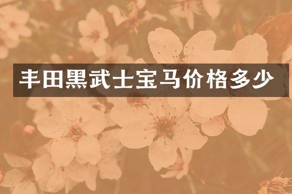 丰田黑武士宝马价格多少