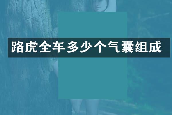 路虎全车多少个气囊组成