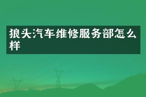 狼头汽车维修服务部怎么样
